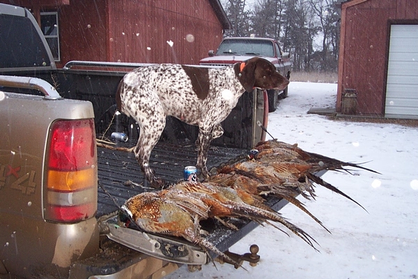 2019 Fall South Dakota GFP Survey Response by UGUIDE